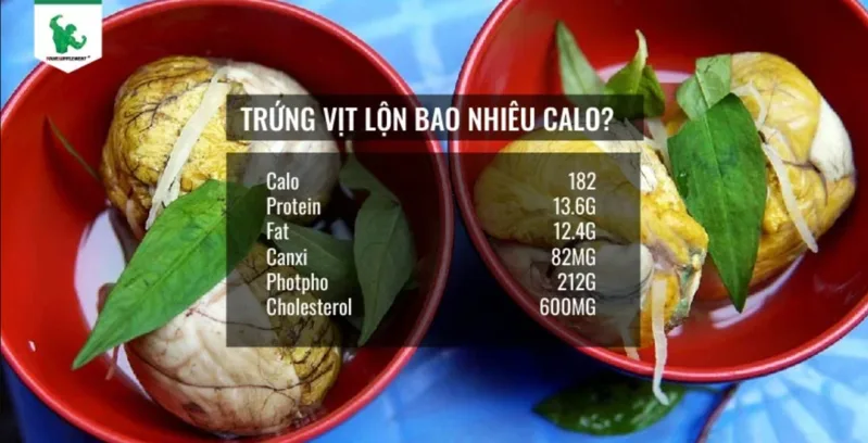 Trứng vịt lộn có mật độ năng lượng tương đối cao do chứa cả protein, chất béo và phần phôi phát triển, trong đó chất béo đóng góp nhiều calo nhất.