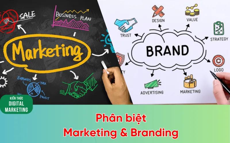 Brand, branding và marketing có vai trò khác nhau nhưng cần phối hợp chặt chẽ để tạo nhận diện, tiếp cận khách hàng và thúc đẩy doanh số.