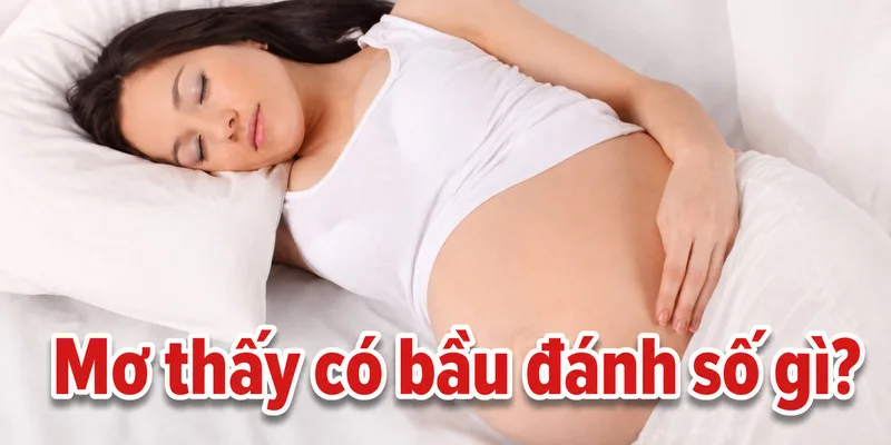 Những con số liên hệ với giấc mơ mang thai chỉ thuộc quan niệm dân gian và không bảo đảm kết quả may rủi.